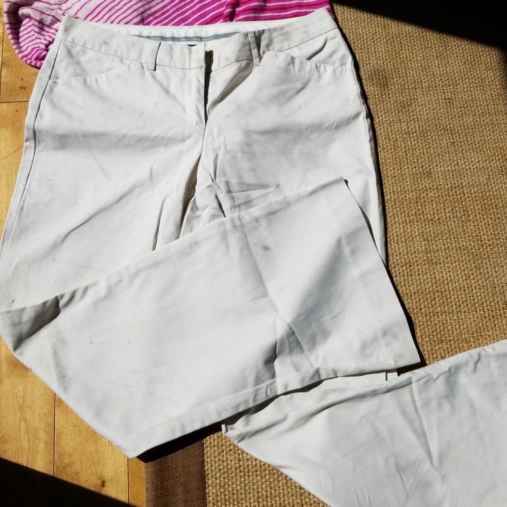 Express Editor Pants